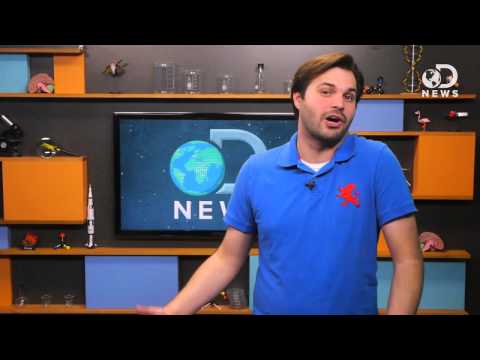 What is Earwax for?  - 2014 News Trivia -