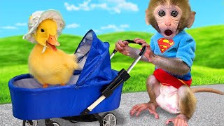 Download lagu Monyet Bon Bon Imut senang dengan hujan permen pelangi di peternakan bersama teman gajah mp3