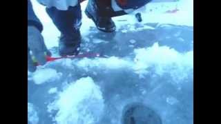 Ловля на сорочинском водохранилище