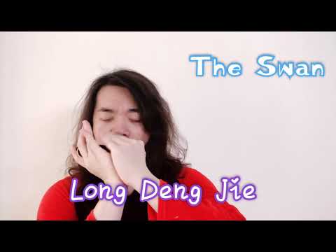 《The Swan》chromatic harmonica .CX12 gold