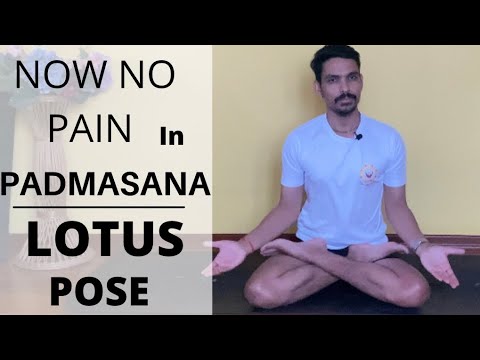 No more pain in padmasana | how to do padmasana | lotus pose step by step step | correction of asana