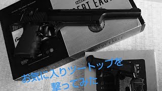 GBBデザートイーグルとエアコキM1934を撃ってみただけの動画(笑)