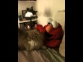 Gizmo Elmo