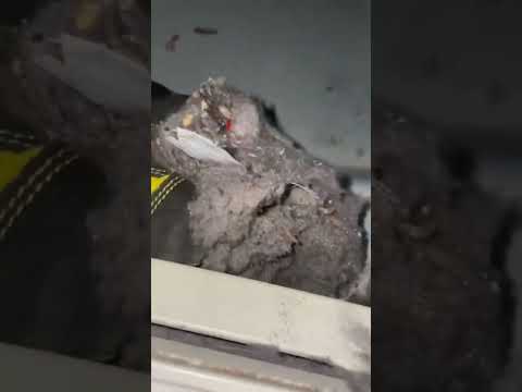 HVAC Vent Cleaning Results