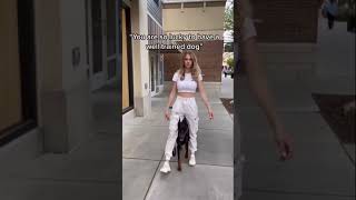 Put the work in ️‍🔥 ️‍🔥 #dogs #dogtraining #doberman #dogtrainer  #dobermans