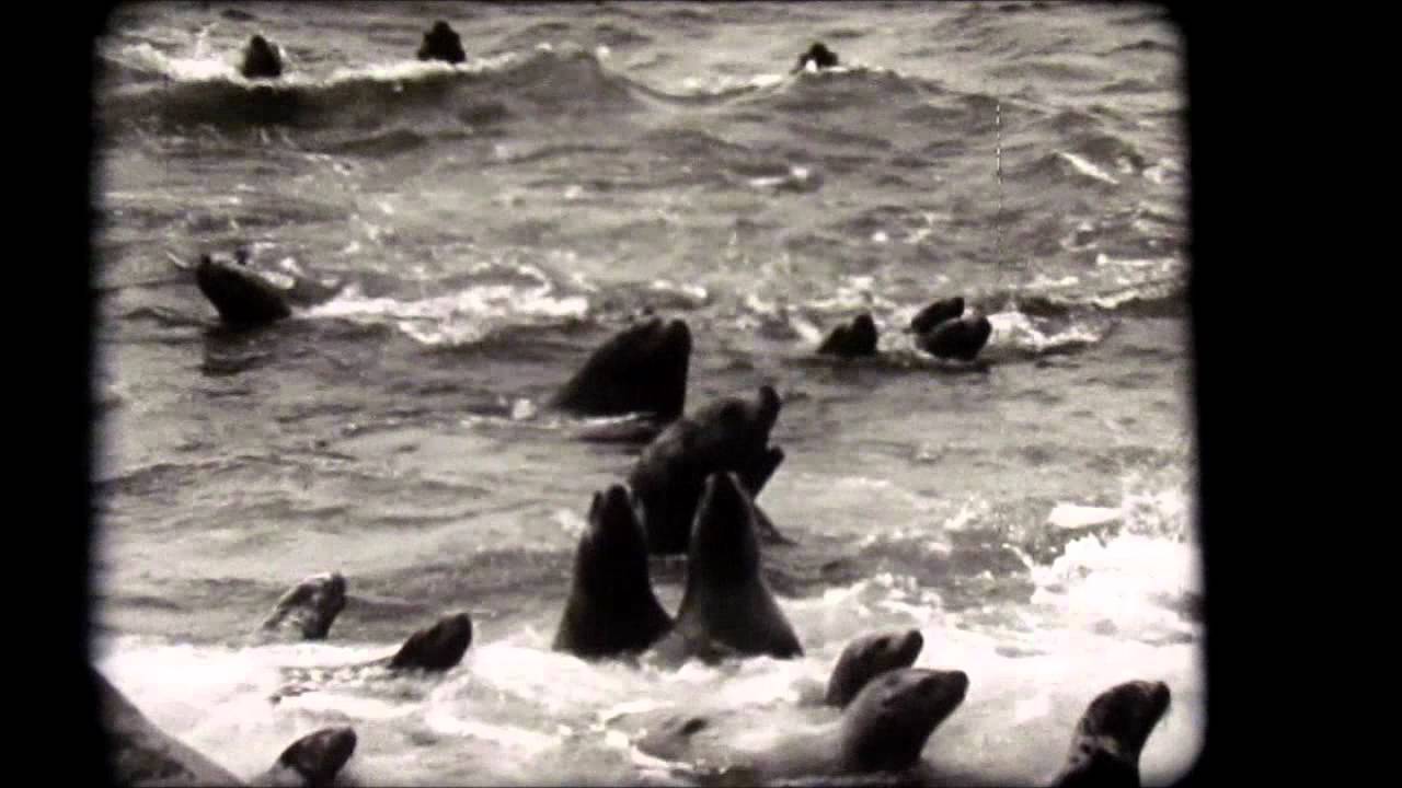 ALASKAN ADVENTURE 1950'S