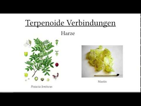 Pflanzenheilkunde: Inhaltsstoffe II (Terpenoide Verbindungen)