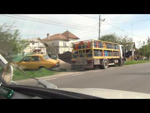 Olteni Şuţa Seacă Boboci Picior de Munte 72 Große Walachei Rumänien Romania 18.4.2016