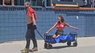 Daisy on a roll in Venice, CA.