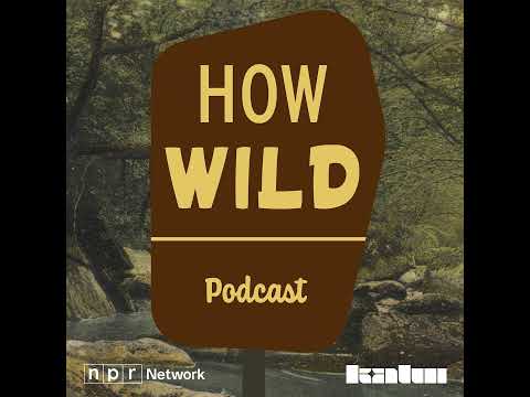 The Wild presents How Wild: Solitude