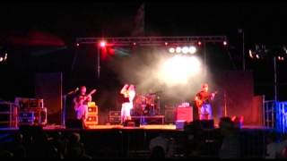 "Ti rullo di kartoni" Skiantos -cover live by I Sandroni tribute band