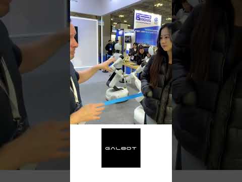 Galbot S1 Review Video 4