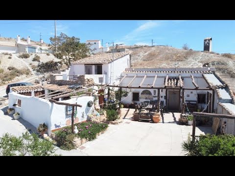 video image