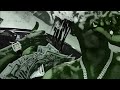 Fattmack Pound 4 Pound Slowed
