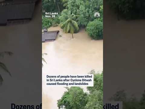 Dozens of people have been killed in Sri Lanka after Cyclone Ditwah caused flooding and landlsides