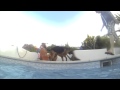 Rigby - Shooting Video Lighter @ Heleen Van ...