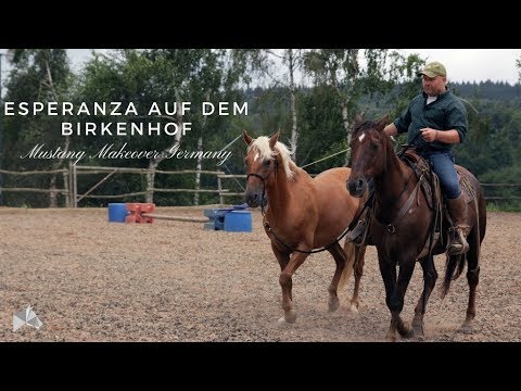 Mustang Esperanza ist bei Ralf Heil angekommen | Mustang Makeover Germany