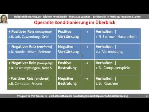 Die operante Konditionierung im Überblick: Positive und negative Verstärkung bzw. Bestrafung