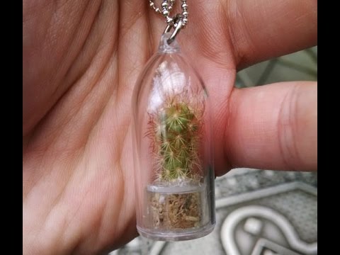 Snow Plow Show - July 16th, 2014 - Comcastic