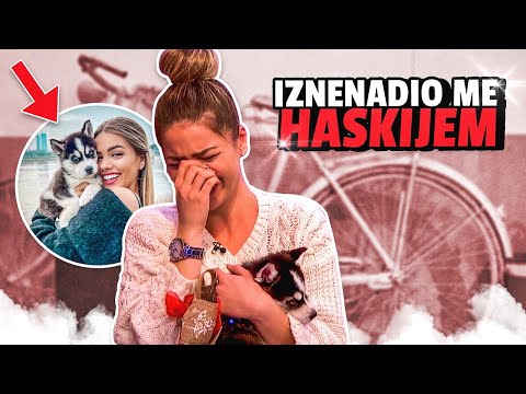 IZNENADIO ME HASKIJEM *rasplakala sam se*