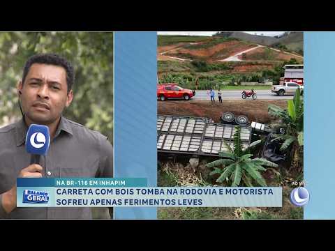 Na BR-116 em Inhapim: Carreta com bois tomba e motorista fica ferido.