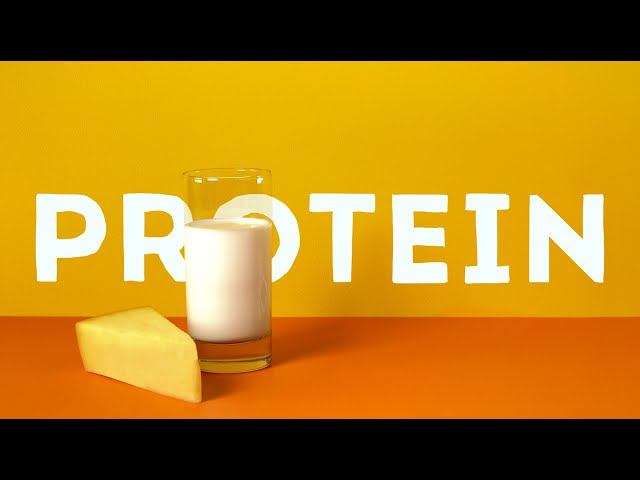 imagen-video-thefoodtech
