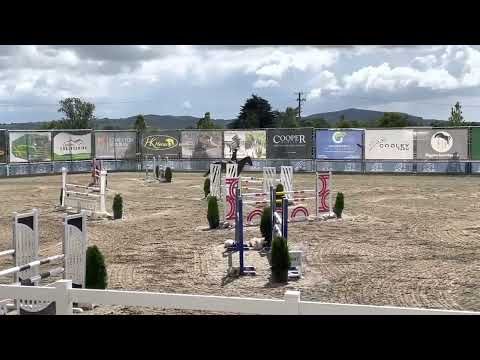 LFS ETOILE ; 2016 gelding by ETOULON jumping a double clear round @barnadownshowjumping