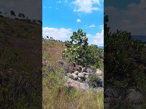 santa Sofía boyaca tierra de belleza natural