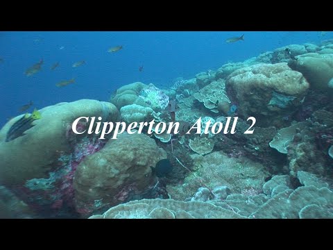 Clipperton Atoll 2