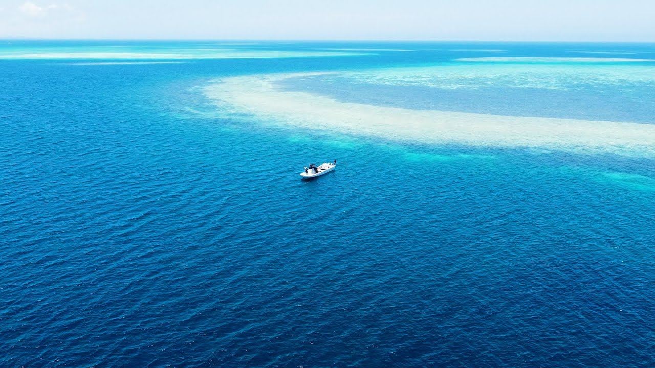 沖縄の超巨大魚がうごめく〇〇島で2日間釣りしたら驚きの連続でした