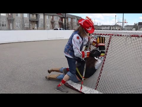 Funny Moments With On The Bench Part 2