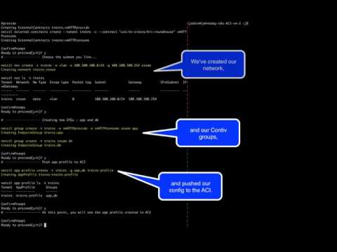 Contiv on Kubernetes with ACI and external contracts