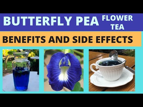 image-Why is the flower called Clitoria?
