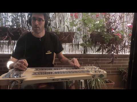 12 Bar Blues  in D Lap Steel Guitar (Slide Guitar)Chapter3