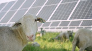 Clean Energy—and More—at Tyto Solar