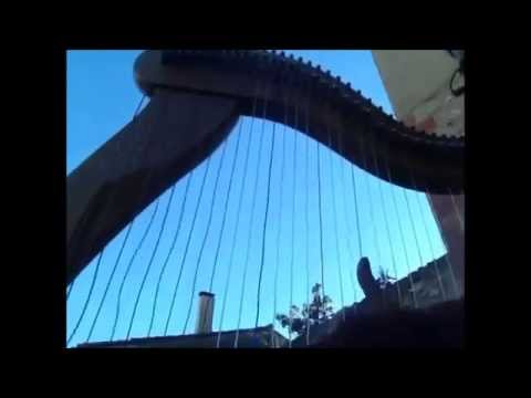 vibrations cordes de harpe/ harp oscillation