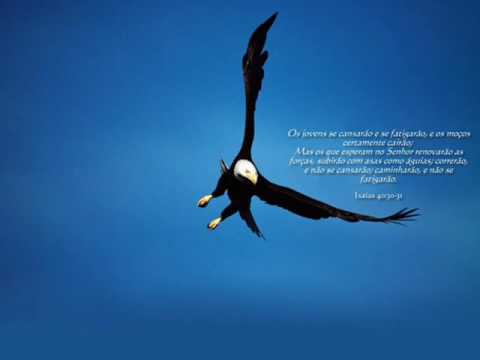 Voz da Verdade   Coração Valente