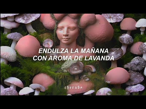 natalia lafourcade - maría la curandera『lyrics/letra』