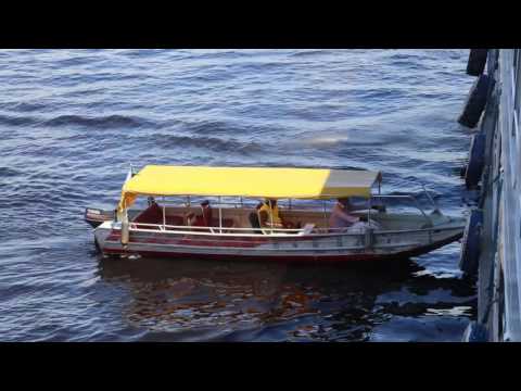 Brésil Embarquement ferry Manaus Santarèm /  Brazil Boarding ferry Manaus Santarem
