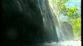 If I Could Only Be Like You, Chrystal Fernandez