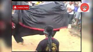 Download lagu BANTENGAN TAROENG🦂🕸⚘'MEGAMERU ds Benjor -Kec Tumpang - Kab Malang 🍎🍏🌷 mp3 Download lagu BANTENGAN TAROENG🦂🕸⚘'MEGAMERU ds Benjor -Kec Tumpang - Kab Malang 🍎🍏🌷 mp3