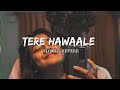 TERE HAWAALE || SLOWED+REVERB || ARIJIT SINGH 🔹 SHILPA RAO ||@Relaxing_lofi_song
