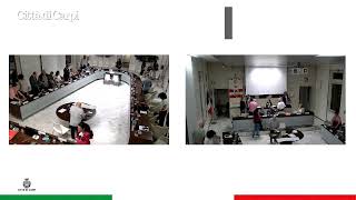 Il Consiglio che non finisce mai: tra zanzare killer, debiti misteriosi e commercianti in attesa