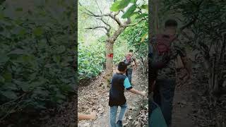 Download lagu Bukit di seroja bbst..trek mp3