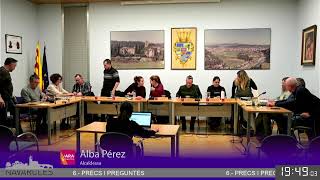 Ple Ordinari 25-11-2025