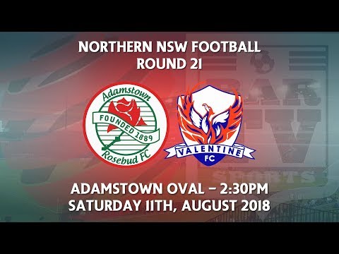 2018 NNSWF NPL Round 21 - Adamstown Rosebud FC v Valentine Phoenix FC