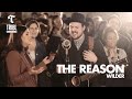 The Reason