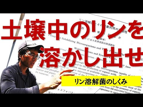 SGH07: 有毒、刺激性、感作性、麻薬性