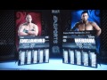 Mma Ps3