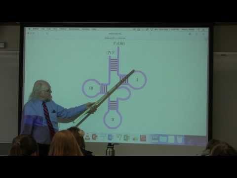 16. Ahern's BB 350 at Oregon State University - DNA Replication I